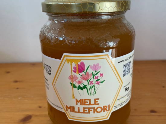 Miele millefiori 1kg